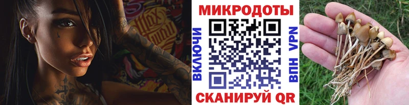 Псилоцибиновые грибы MAGIC MUSHROOMS  Купить где  Тында 